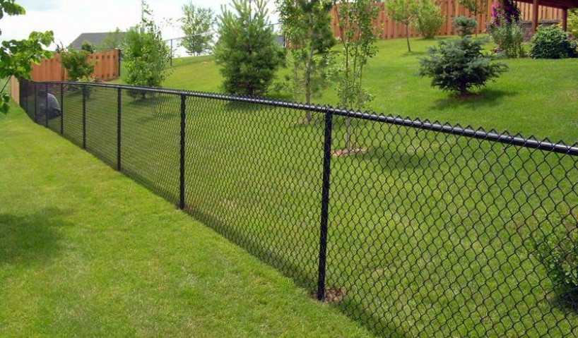 Mẫu hàng rào lưới thép đẹp cho nhà vườn: Giải pháp vừa bền vừa thẩm mỹ